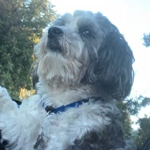 Meet your Posher, Roze